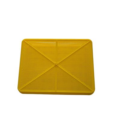 crescent moon incubator Adjustable Hatching Viol with Lid Compatible with All Eggs - Buy Online on GoSupps.com