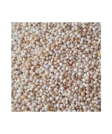 White Millet Plain Bird Food 5 Kg Budgie Indian Nightingale Parrot Food