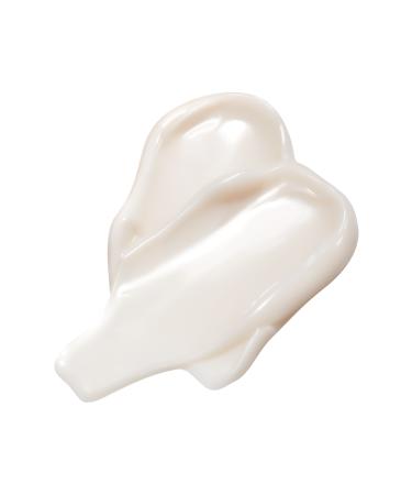 The Saem Artemisia Soothing and Moisturizing Cream - Artemisia Steam Cream 100 mL - Buy Online on GoSupps.com