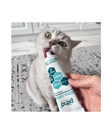 Pitho Derma Cure - Cat Malt to Support Hair and Skin Health Against Excessive Hair Loss for Cats - Buy Online on GoSupps.com