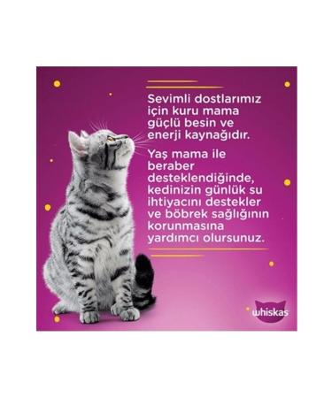 Whiskas Salmon and Chicken Casserole Meat Varieties 4x85 gr (13 PACKS 52 PIECES SINGLE) - Buy Online on GoSupps.com