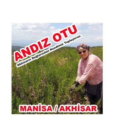 Akhisar Lokman Hekim And z Herb Akhisar Branched Leafy Sticky Genuine Natural Original We Collect It Ourself. - Buy Online on GoSupps.com