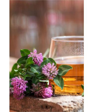 Sultan Story Red Clover Red Clover 100 Gr - Buy Online on GoSupps.com