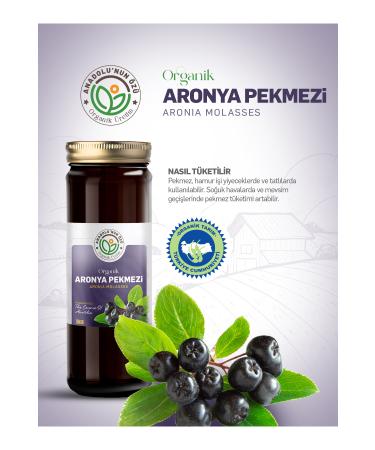 the essence of anatolia organic production ORGANIC ARONIA MOLASSES ''150gr'' - Buy Online on GoSupps.com