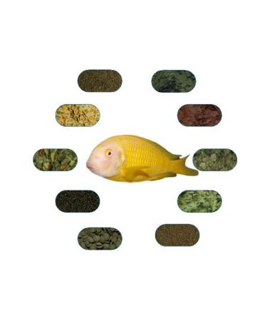 FSFPETMARKET TROPHEUS ALBINO TYPE FOOD PACKAGE (100 GR - 9 TYPES)