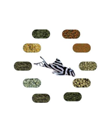 FSFPETMARKET PLECO RATING FOOD PACKAGE (100 GR - 5 TYPES)