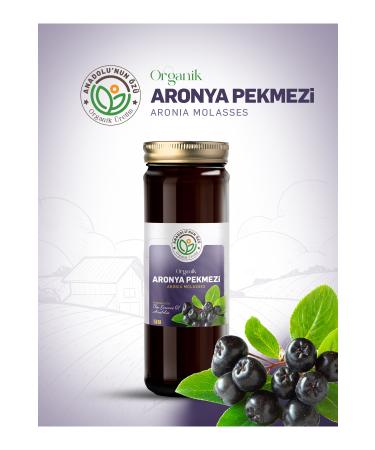 the essence of anatolia organic production ORGANIC ARONIA MOLASSES ''150gr'' - Buy Online on GoSupps.com