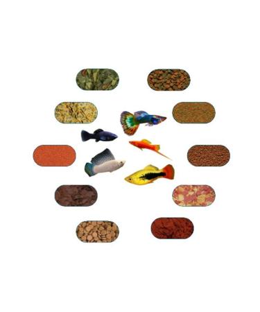 FSFPETMARKET LIVE BIRTH FEED PACKAGE SWORD-MOLI-PLATI (100 GR - 7 TYPES)