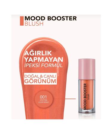 Flormar Mood Booster Intense Pigment Liquid Blush No: 001 Follow Your Heart - Buy Online on GoSupps.com
