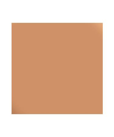 Kryolan Supracolor Foundation Small 8 ml Fs41 - Buy Online on GoSupps.com