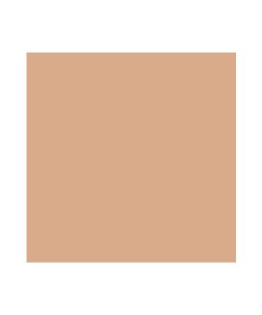 Kryolan TV Paint Stick 25 G 05047 Nb - Buy Online on GoSupps.com