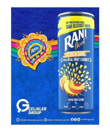 Rani Cocktail Fruit Juice with Chips