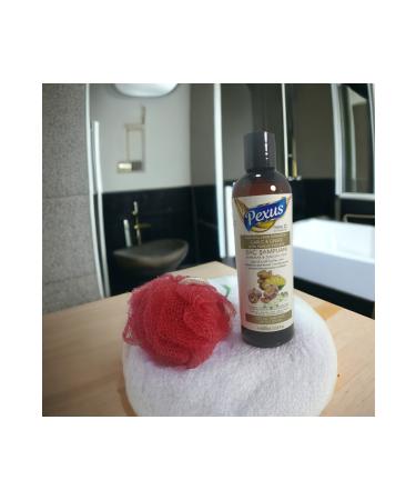 Tex PEXUS GARLIC & GINGER EXTRACT HERBAL CONTENT SHAMPOO 400ML - Buy Online on GoSupps.com