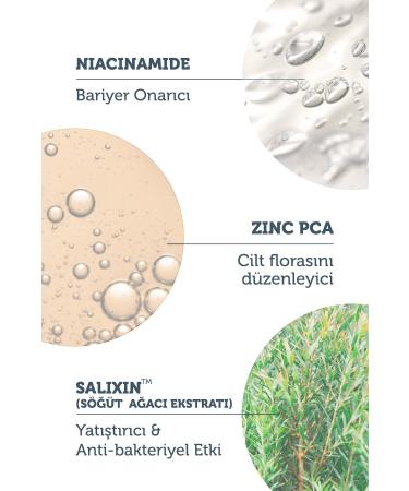 The Purest Solutions BLACK SPOT AND ACNE SKIN BARRIER REPAIRING NIACINAMIDE SKIN CARE SERUM 30 ML DEMBA4379 - Buy Online on GoSupps.com