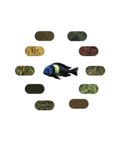 FSFPETMARKET TROPHEUS DUBO S MASVA FOOD PACKAGE (50 GR - 9 VARIETIES)