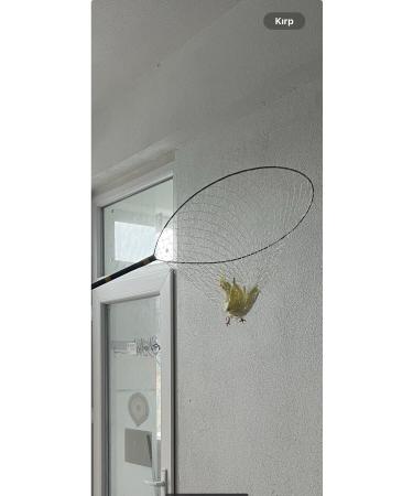 Store Bird Catching Bucket - Buy Online on GoSupps.com