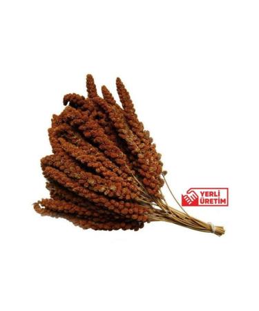 grpet Imported Red Millet 500 Gr(large size)