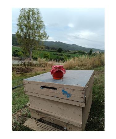 Honey from the lady's hand 850gr - Buy Online on GoSupps.com