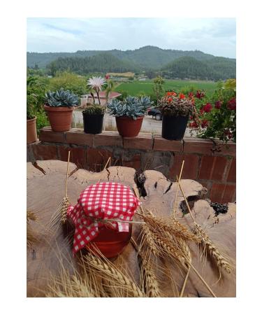 Honey from the lady's hand 850gr - Buy Online on GoSupps.com