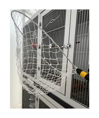 Store Bird Catching Bucket - Buy Online on GoSupps.com