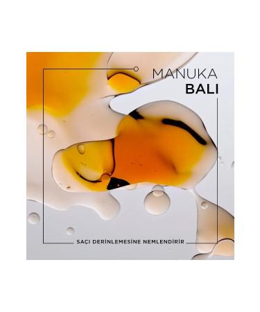 Kerastase Curl Manifesto Purifying Shampoo for Wavy-Curly Hair -250 ml- CYT664741314613131 - Buy Online on GoSupps.com