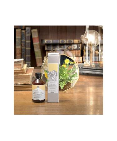 Davines DAV NES Naturaltech Purifying Anti Dandruff Shampoo 250 Ml - Keyk Onrness Cosmet c - Buy Online on GoSupps.com