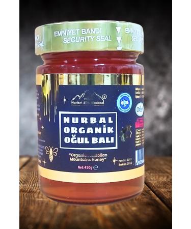 Nurbal Healing Center Organic Son Honey 450 Gr