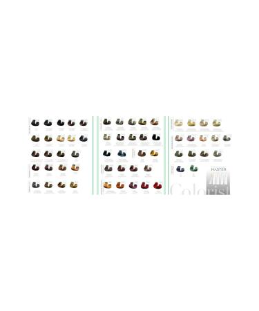 Master colorist 60 ml Tube Paint 60 Amazing Color Variations - Buy Online on GoSupps.com