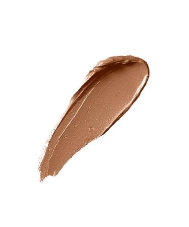 FENTY BEAUTY Match Stix Matte Skinstick - Tone-Equalizing Multi-Purpose Stick Foundation - Buy Online on GoSupps.com