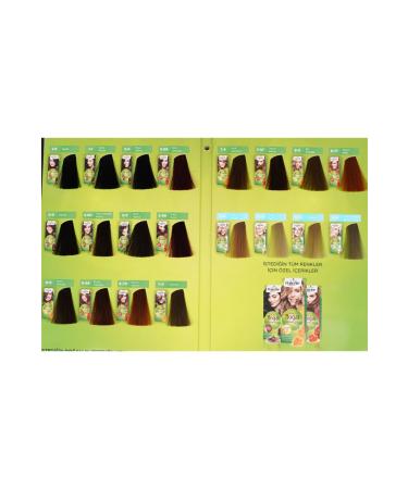 Garnier Color Naturals Set Dye 111 Extra Light Natural Ash Blonde 2 Pieces - Buy Online on GoSupps.com