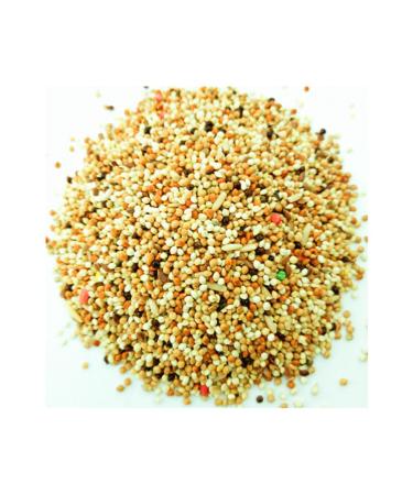 ginger transfer Budgie Bird Food 1kg