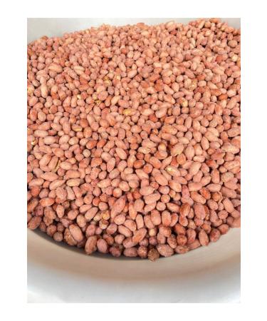 CHEMIST PISTACHIO AND NUTS Roasted Large Sized Peanuts Salted 5000gr