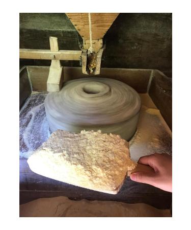 Do adan Rize Corn Flour (1 KG) - Buy Online on GoSupps.com