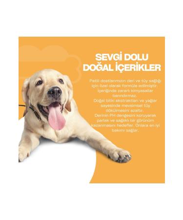 Paw Lab For Pet Anti-Shedding Dog Care Shampoo 250 ml - Buy Online on GoSupps.com