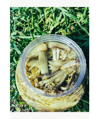 Erzurum pekgurme Erzurum pek Gurme Trigger Chasir Flat Chasir Wide Chasir 5 KG PKG 4767 - Buy Online on GoSupps.com