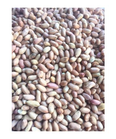 CHEMIST PISTACHIO AND NUTS Raw (not roasted) Medium Sized Peanut 3000gr - Buy Online on GoSupps.com