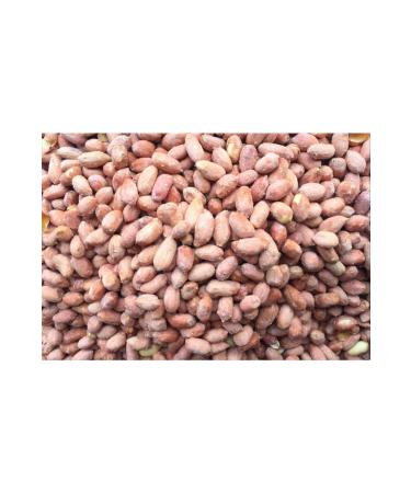 CHEMISTRY PISTACHIO AND NUTS Roasted Large Sized Peanuts Salted 1000gr