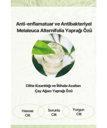 byeolee Tea Tree Essence Korean Emulsion Moisturizing Soothing Anti-Acne For Face And Whole Body 130ml - Buy Online on GoSupps.com