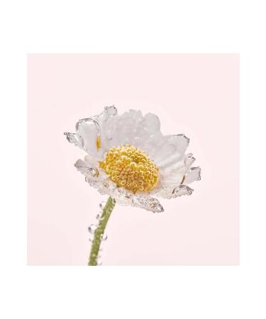 Yves Rocher Pure Camomille Facial Cleansing Milk Sensitive Skin 200 ml- Carest Cosmetic - Buy Online on GoSupps.com