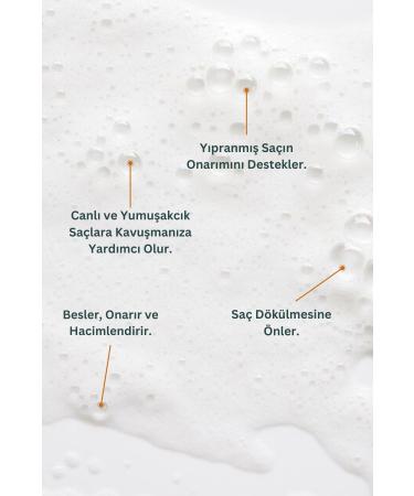 EL VON Elivon Lahza Anti-Hair Loss Shampoo - Buy Online on GoSupps.com