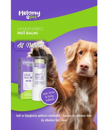 Melomy Pet Homecoming Set (Cat / Dog) - Buy Online on GoSupps.com