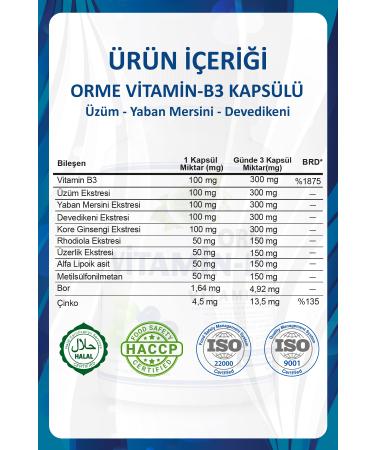 Gokcek Healing Orme Vitamin B3 Capsule (VITAMIN B3 CAPSULE) - Buy Online on GoSupps.com