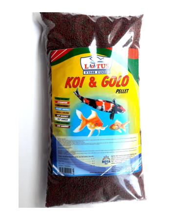 AMORE Malawi Cichlid Mix Granules 3kg Bucket Lotus Koi Gold Fish Mix Pellet 860gr Bag Goldfish Food - Buy Online on GoSupps.com