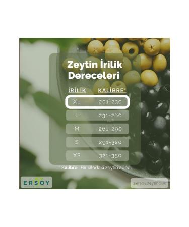 Ersoy Natural Black Olive Gemlik 181-200 Caliber (XXL) 2 Kg - Buy Online on GoSupps.com