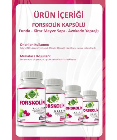 Gokcek Healing Forskolin Capsule (COLEUS CAPSULE) - Buy Online on GoSupps.com