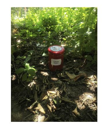 irfan bakliyat orange jam 800 gr