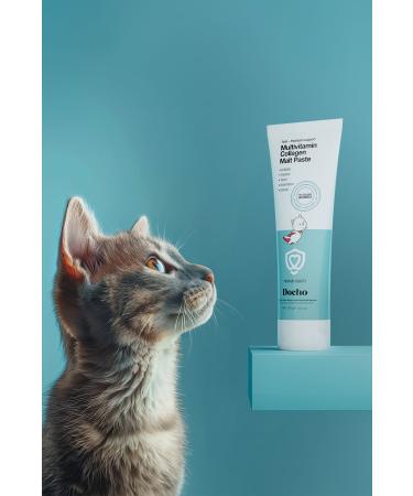 Docho Malt Cat Paste 100 gr and Cat Hair Health Support Drops 50 ml Set - Buy Online on GoSupps.com