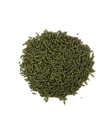 AMORE Turtle Green Sticks 125 250 ml Bonisa Turtle Food and Vitamin Set of 3 - Buy Online on GoSupps.com