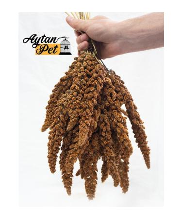 Aytan Pet Red Branch Millet (fox Tail) 100gr