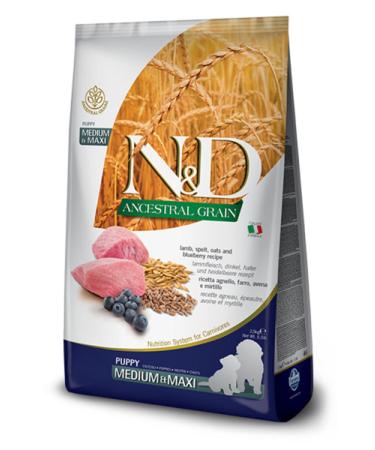N & D Low Grain Medium Maxi Puppy Lamb Blueberry Puppy Food 12 kg